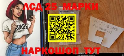 стаф Новокубанск