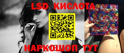 крисы Новозыбков