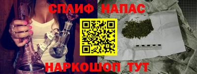 стаф Новокубанск