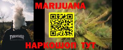 крисы Новозыбков