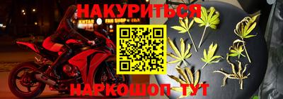 стаф Новокубанск
