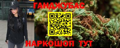 крисы Новозыбков
