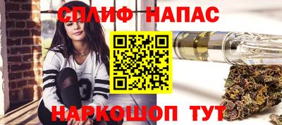 крисы Новозыбков