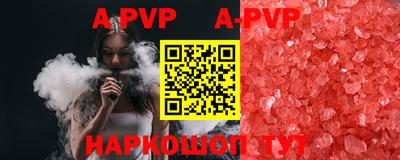 стаф Новокубанск